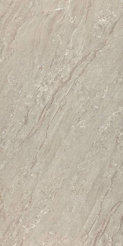 60x120 Arma Gri R.P.N